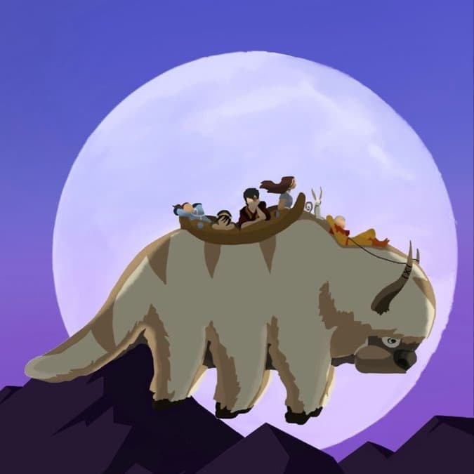 Appa's flight  image